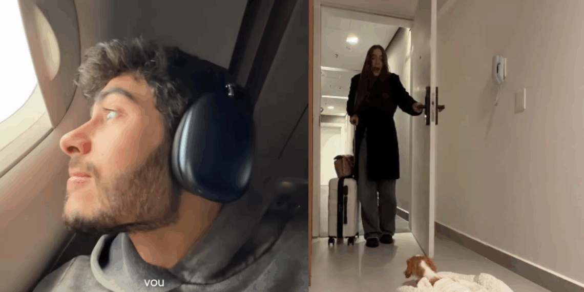 Noivo pega avião de surpresa para buscar cachorrinha e emociona noiva: “Realizei o maior sonho dela!”
