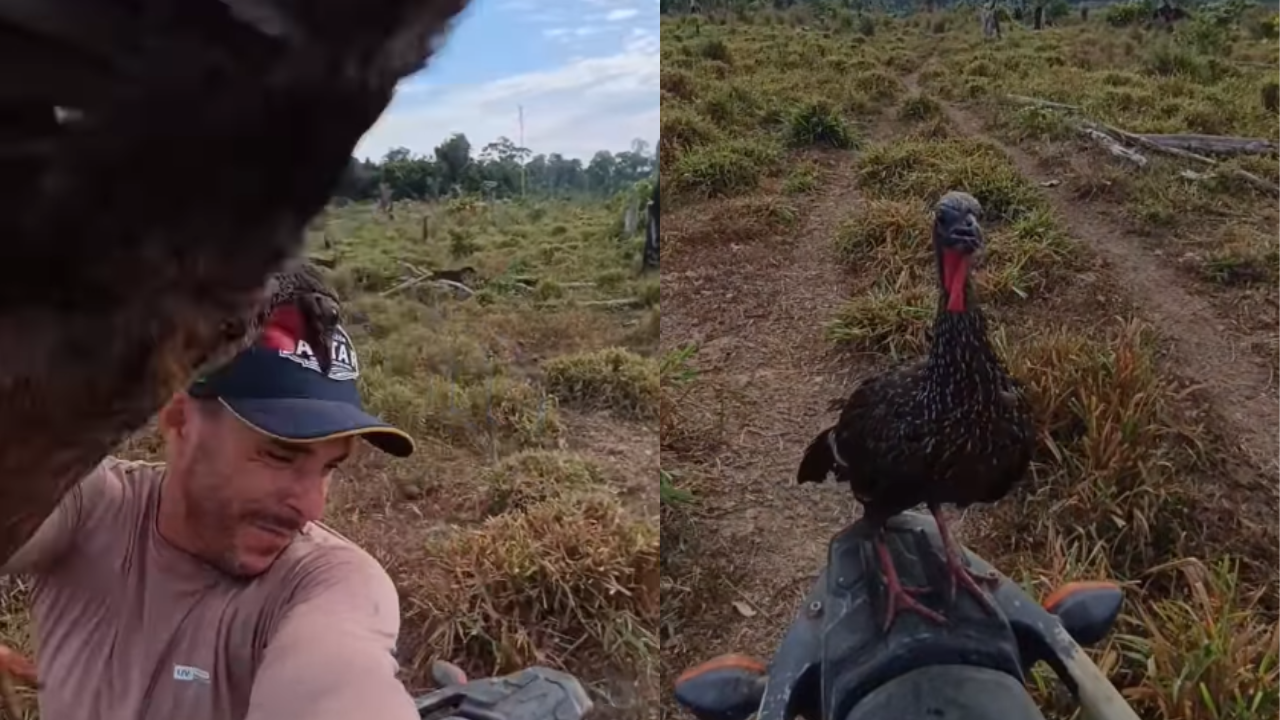 ‘Fiscal da garupa’: jacu territorialista persegue produtor rural e cão em cima de motocicleta