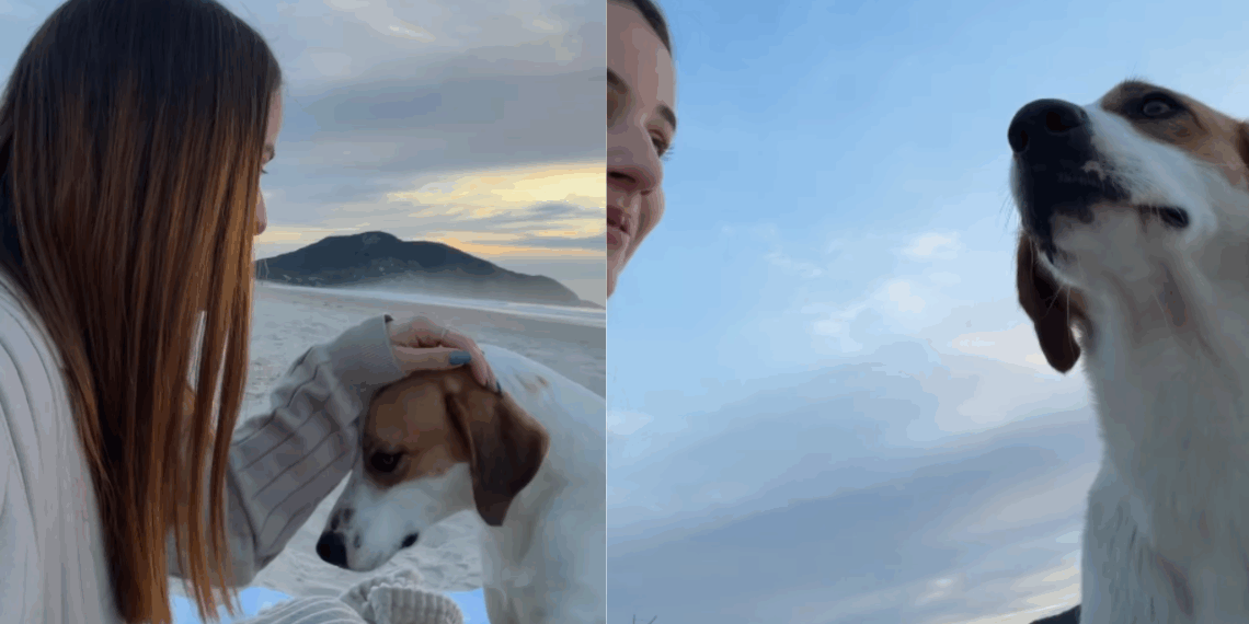 “Nunca estou sozinha”: Jovem pede um sinal após oração e cão surge na praia para confortá-la