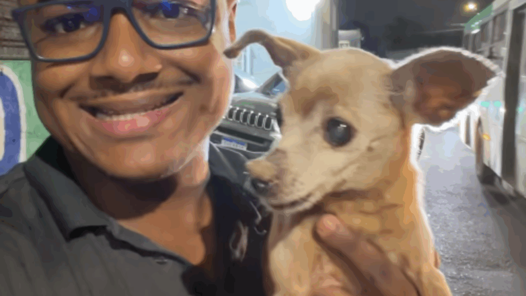 "Muita sorte eu estar ali": Protetor passa em avenida de Salvador e salva pinscher cega e ferida