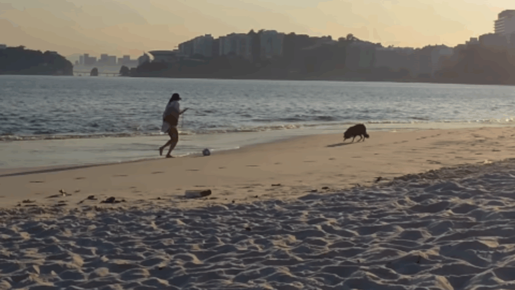 Os detalhes por trás do vídeo da desconhecida brincando com cadela na praia que comoveu a web