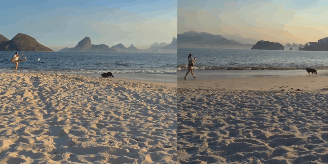 Os detalhes por trás do vídeo da desconhecida brincando com cadela na praia que comoveu a web