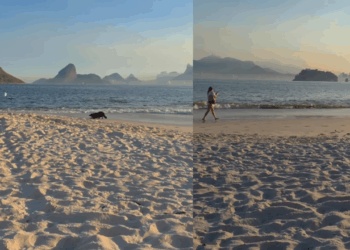 Os detalhes por trás do vídeo da desconhecida brincando com cadela na praia que comoveu a web