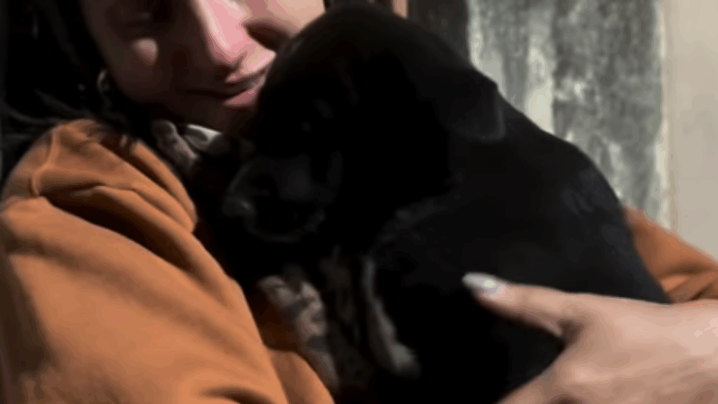 Jovem chora em despedida de filhotes acolhidos e vídeo comove milhares na internet com lição de amor