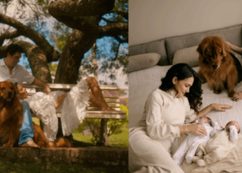 Reação de Golden retriever ao conhecer bebês gêmeos derrete corações na internet