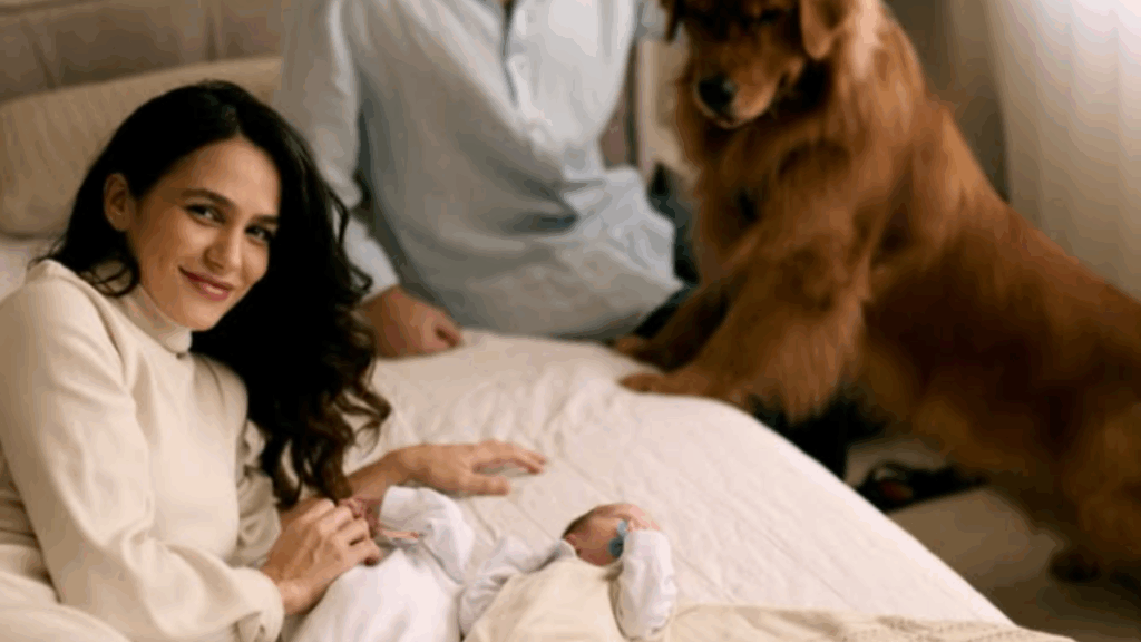Reação de Golden retriever ao conhecer bebês gêmeos derrete corações na internet