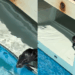 Pai e filha notam algo estranho no filtro de água e fazem resgate de roedor em piscina