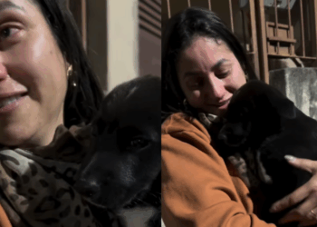 Jovem chora em despedida de filhotes acolhidos e vídeo comove milhares na internet com lição de amor