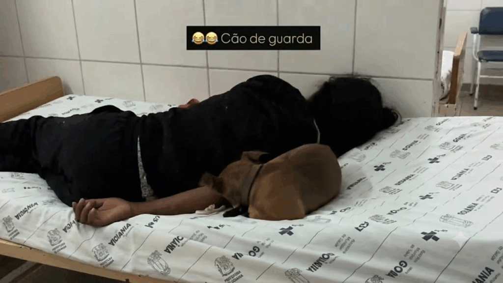 'Daqui ninguém passa': Cão caramelo vira segurança de tutora em leito do SUS e barra enfermeira