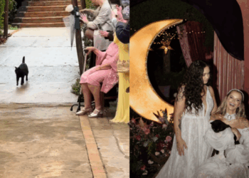 “Entrou no ritmo da música”: noiva faz pedido a gato de local de eventos e ele surpreende
