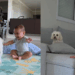“O filho é seu, resolva você”: cachorrinha que ignorou o irmãozinho chorando viraliza na web