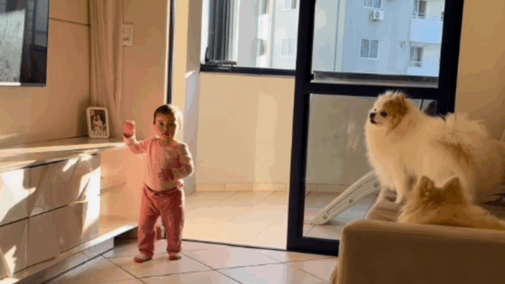“O filho é seu, resolva você”: cachorrinha que ignorou o irmãozinho chorando viraliza na web