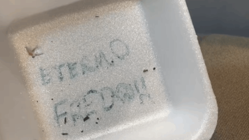 Menina faz velório emocionante para peixe, mas detalhe na embalagem faz web rir