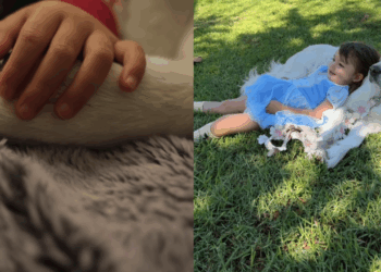 "Parecem almas gêmeas": Golden Retriever recusava-se a passear sem a tutora grávida e hoje é a sombra da bebê