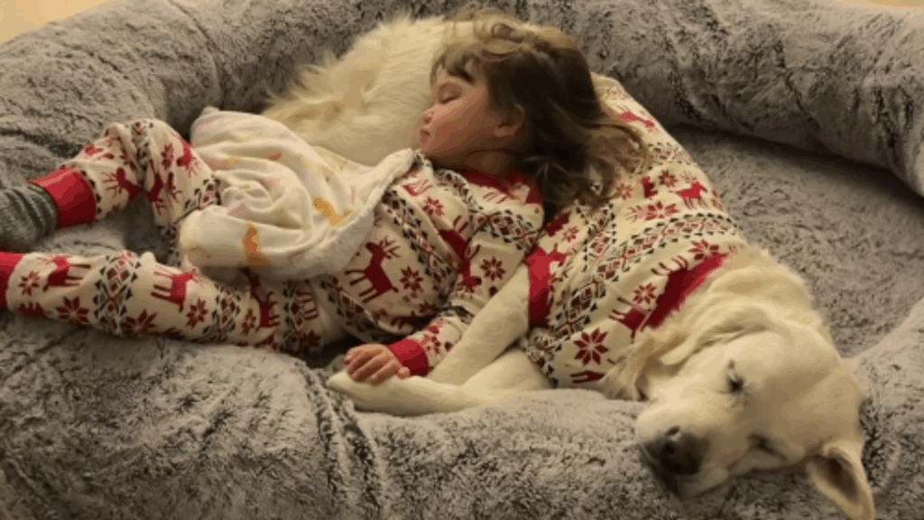 "Parecem almas gêmeas": Golden Retriever recusava-se a passear sem a tutora grávida e hoje é a sombra da bebê