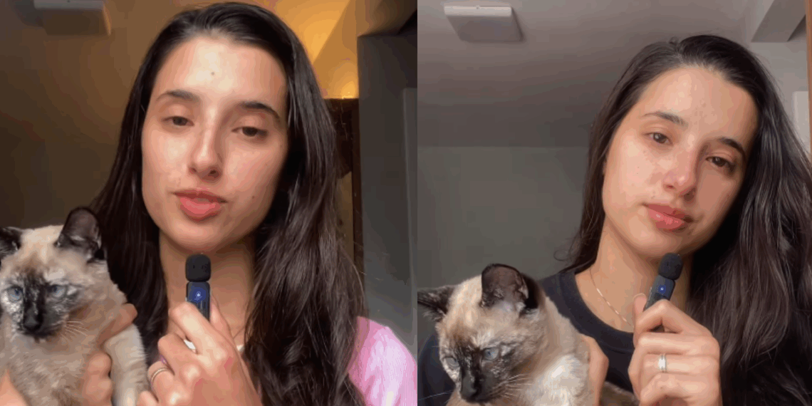 "Foi um sinal?": Gatinha surge na porta de jovem um dia após ela pedir um pet, mas o motivo da visita emociona