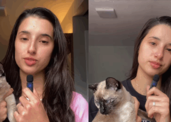 "Foi um sinal?": Gatinha surge na porta de jovem um dia após ela pedir um pet, mas o motivo da visita emociona