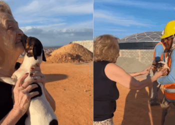 “A última vontade dela não ia se perder nas ruas”: Família mobiliza cidade e reencontro com cachorro desaparecido faz tutora desabar
