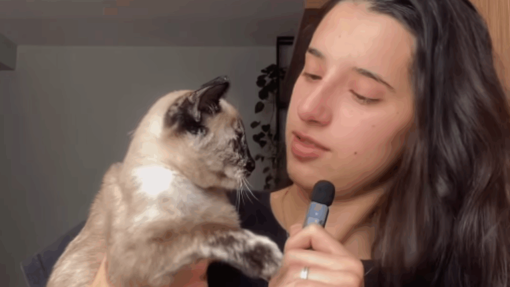 "Foi um sinal?": Gatinha surge na porta de jovem um dia após ela pedir um pet, mas o motivo da visita emociona