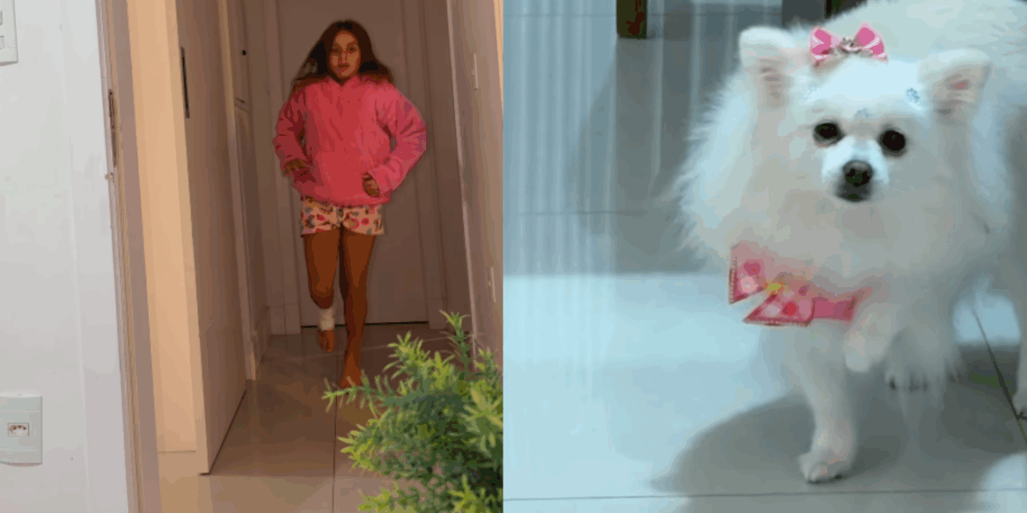 “Atenção é só dela? Espere aí!”: Cachorrinha decidiu imitar irmã humana machucada e vídeo de drama viraliza