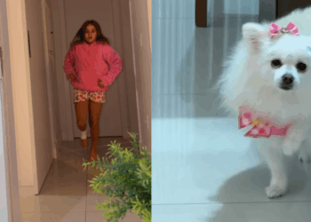 “Atenção é só dela? Espere aí!”: Cachorrinha decidiu imitar irmã humana machucada e vídeo de drama viraliza