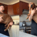 “Ninguém acreditou no que viu”: jovem apresenta mistura de pitbull com dachshund e deixa a internet surpresa