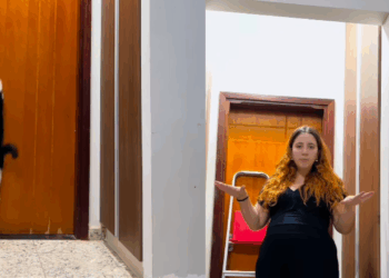 'Arquiteto do caos': Gato frajola aprende a se trancar no banheiro por dentro e obriga família a usar escada na porta