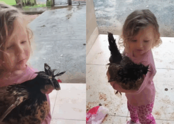 "É isso aí que é criar anticorpos": Mãe desconfia do silêncio da filha e flagra cena fofa na sala