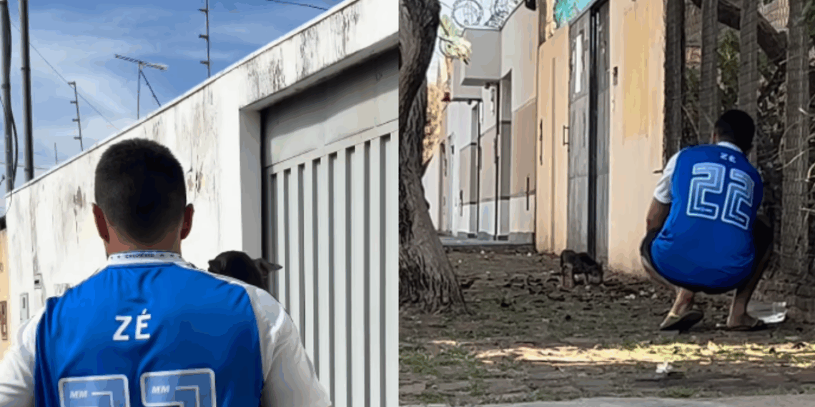 A emocionante história da cachorrinha resgatada do lixo em Uberaba que comoveu as redes