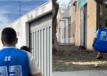 A emocionante história da cachorrinha resgatada do lixo em Uberaba que comoveu as redes