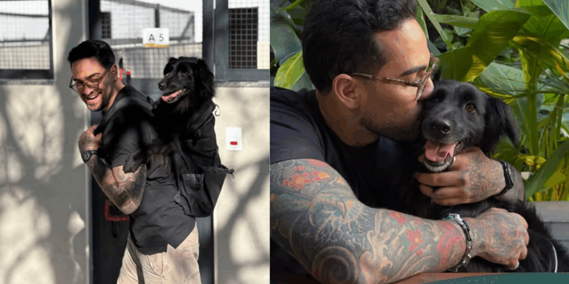 Como um dia especial ajudou o cão Sirius Black a encontrar um lar após meses de espera