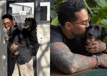 Como um dia especial ajudou o cão Sirius Black a encontrar um lar após meses de espera