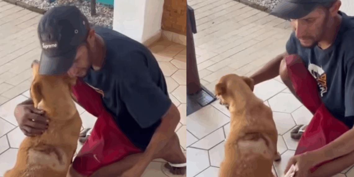 Homem aguarda na porta de clínica enquanto cadela é tratada após ataque brutal