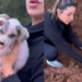 “Trêmulos e sem pelos”: resgate de três filhotes abandonados em barranco de lama comove o Rio Grande do Sul