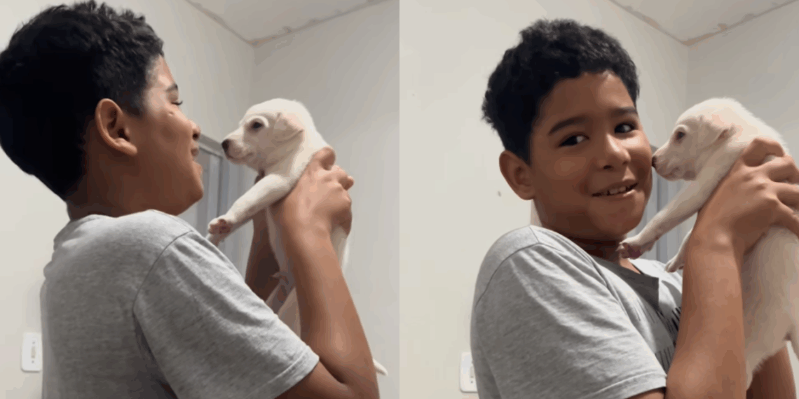 Empatia infantil: Filho vai ao mercado e volta com pet abandonado em vez de produtos