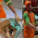 Garis encontram filhotes de gato abandonados em sacola e desabafo comove a web