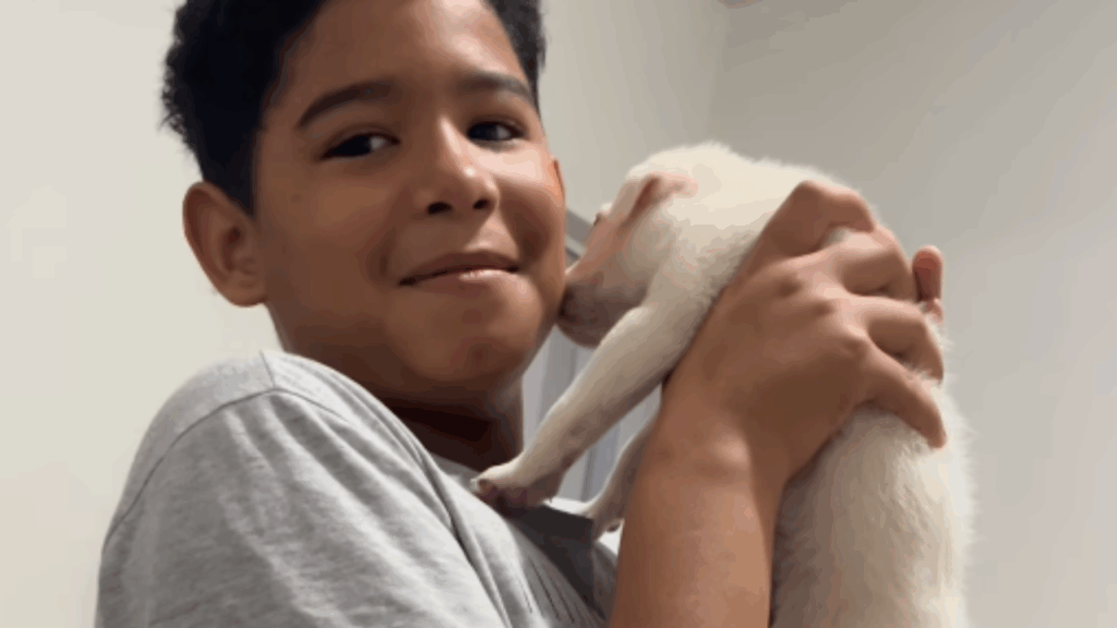 Empatia infantil: Filho vai ao mercado e volta com pet abandonado em vez de produtos