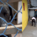 "Ele esperou até o fim": Cão rejeitado após minutos de visita fica no portão aguardando família