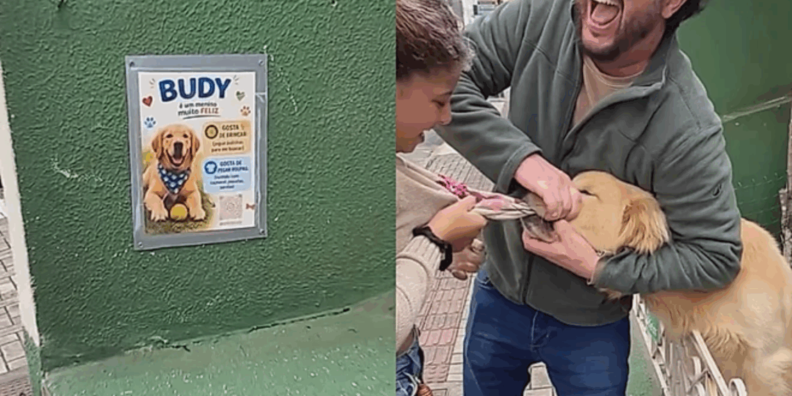 "Se tem placa, tem história": menina ignora aviso e vira 'vítima' do golden retriever Budy