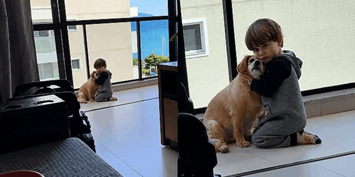 "Ele tem todo cuidado com a nossa velhinha": bebê abraça cachorrinha idosa e emociona a mãe
