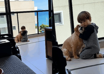 "Ele tem todo cuidado com a nossa velhinha": bebê abraça cachorrinha idosa e emociona a mãe