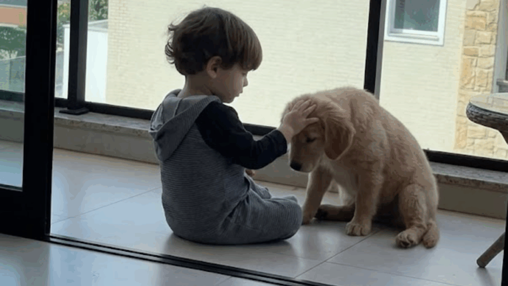 "Ele tem todo cuidado com a nossa velhinha": bebê abraça cachorrinha idosa e emociona a mãe