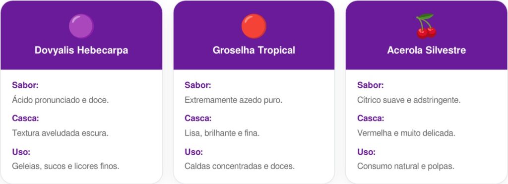 Dovyalis-cart-1024x371 A fruta de quintal que tem cor vermelhinha e sabor de groselha azeda e que poucos brasileiros conhecem