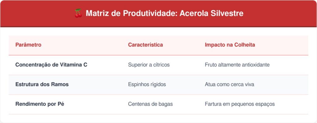Dovyalis-tabela-1024x398 A fruta de quintal que tem cor vermelhinha e sabor de groselha azeda e que poucos brasileiros conhecem