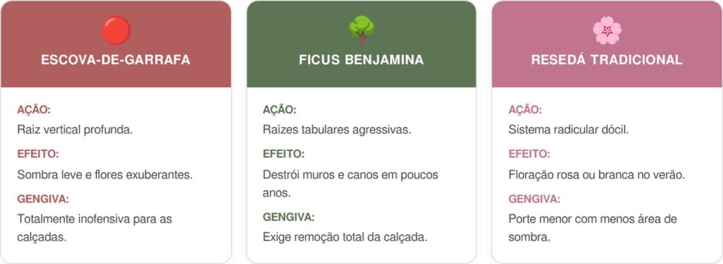 Escova-de-garrafa-cart-1024x374 Essa árvore é ideal para a frente de casa: não racha o piso, proporciona sombra pendente e dá flores vermelhas radiantes