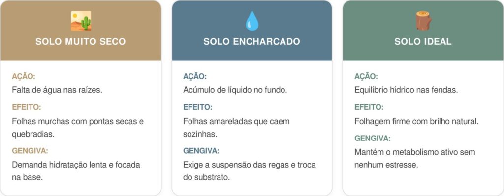 Excesso-de-agua-cart-1024x399 Não jogue água no vaso todo santo dia sem antes conferir a terra: essa é a maneira correta de cuidar da planta sem sufocar as raízes e evitar que ela apodreça