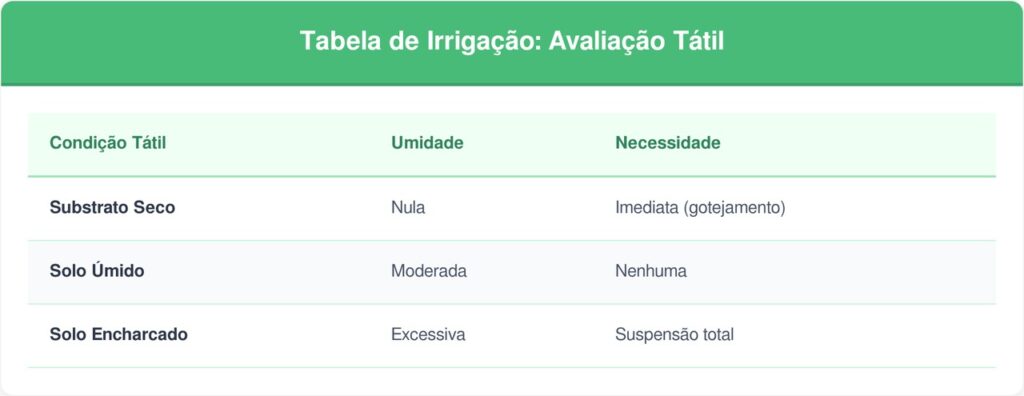 Excesso-de-agua-tabela-1024x396 Não jogue água no vaso todo santo dia sem antes conferir a terra: essa é a maneira correta de cuidar da planta sem sufocar as raízes e evitar que ela apodreça