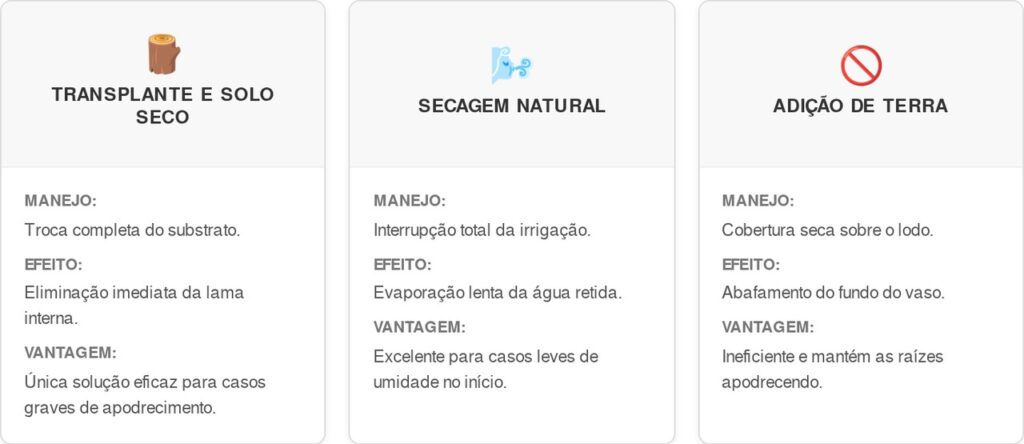 Excesso-de-rega-cart-1024x444 Chega de plantas murchas: veja o truque definitivo para drenar o solo e reverter o excesso de rega instantaneamente