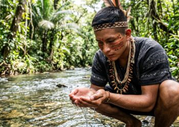 Provérbio do dia do nativo-americano: "cuidar da terra é cuidar de quem virá depois de você”
