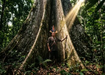 Frase do dia de Floresta Amazônica Xingu, indígena brasileira e defensora: "A floresta é nossa mãe — quem a mata mata a si mesmo"